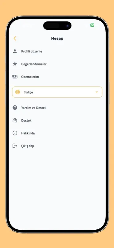 Performans Gösterge Paneli